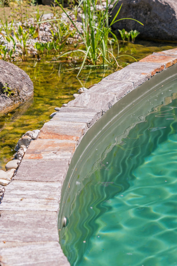 FREIRAUM abgetrennter Wasserpflanzenbereich