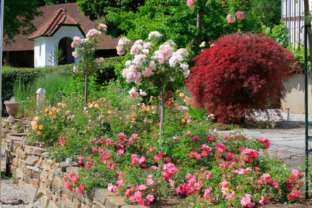 FREIRAUM Garten mit Rosenbeet