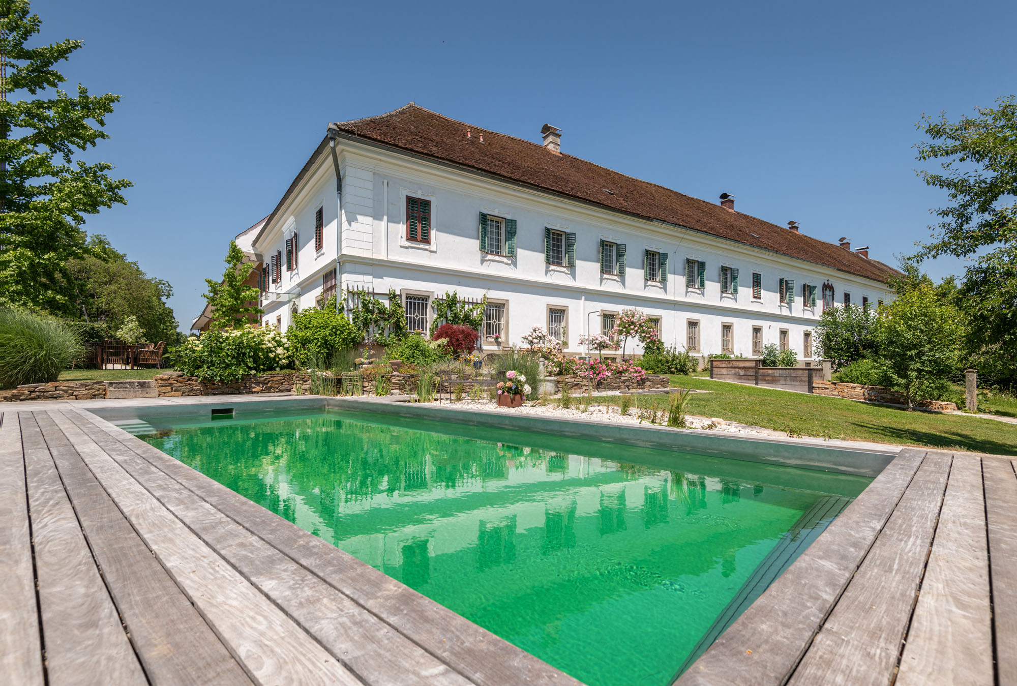 Schwimmteich umrüsten Teich zum Pool umbauen lassen FREIRAUM