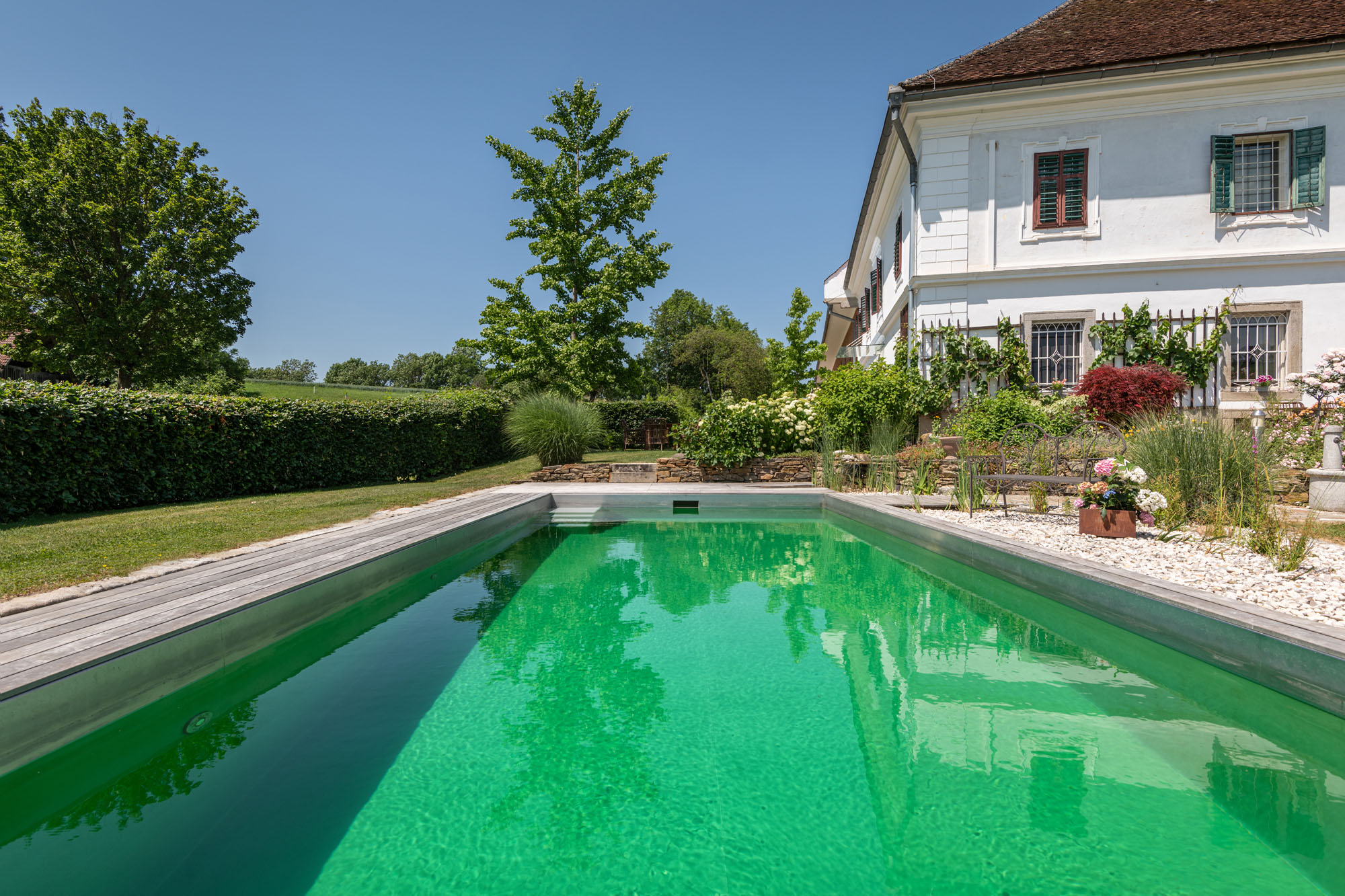Schwimmteich umrüsten Teich zum Pool umbauen lassen FREIRAUM