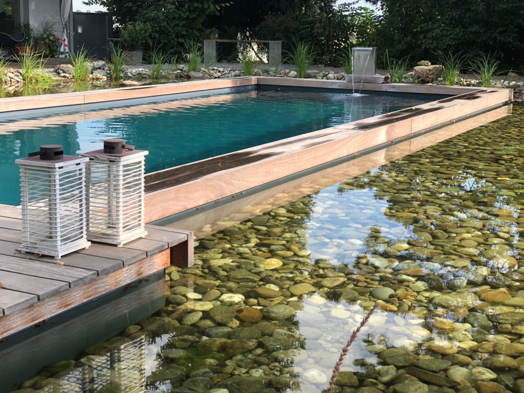 FREIRAUM Living Pool mit Wasserpflanzenbereich