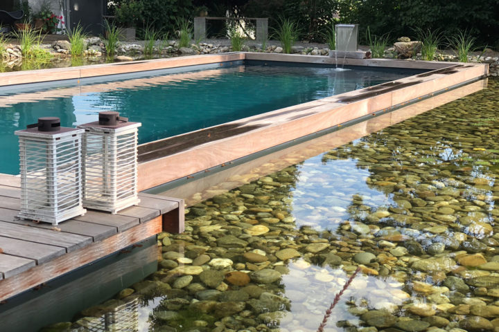 FREIRAUM Living Pool mit Wasserpflanzenbereich