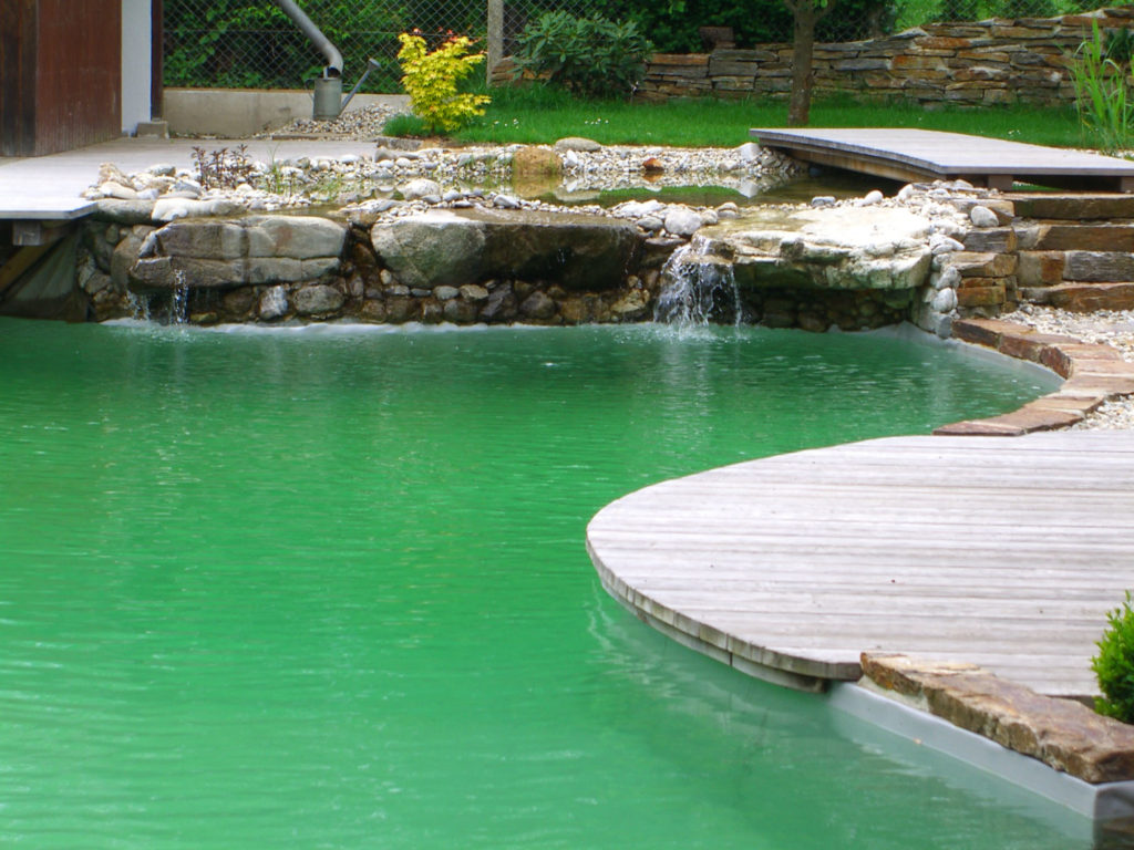FREIRAUM Swimming Pond mit Pflanzbereich
