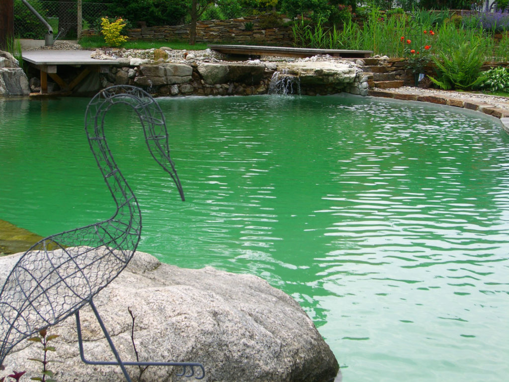 FREIRAUM Garten mit Swimming Pond
