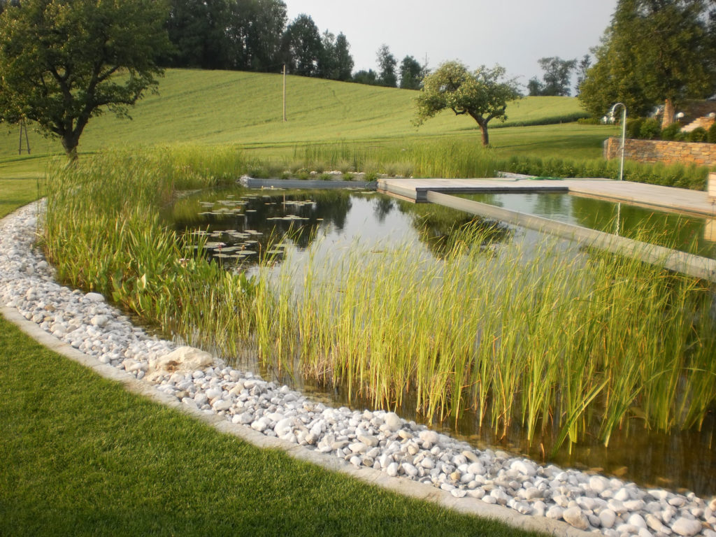 FREIRAUM Swimming Pond mit Pflanzbereich