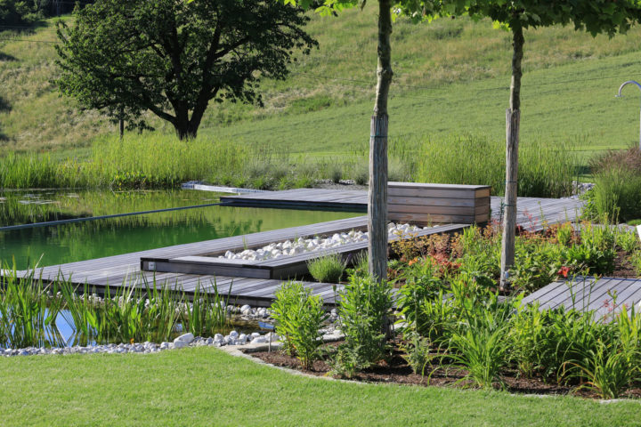 FREIRAUM Swimming Pond mit Holzdeck