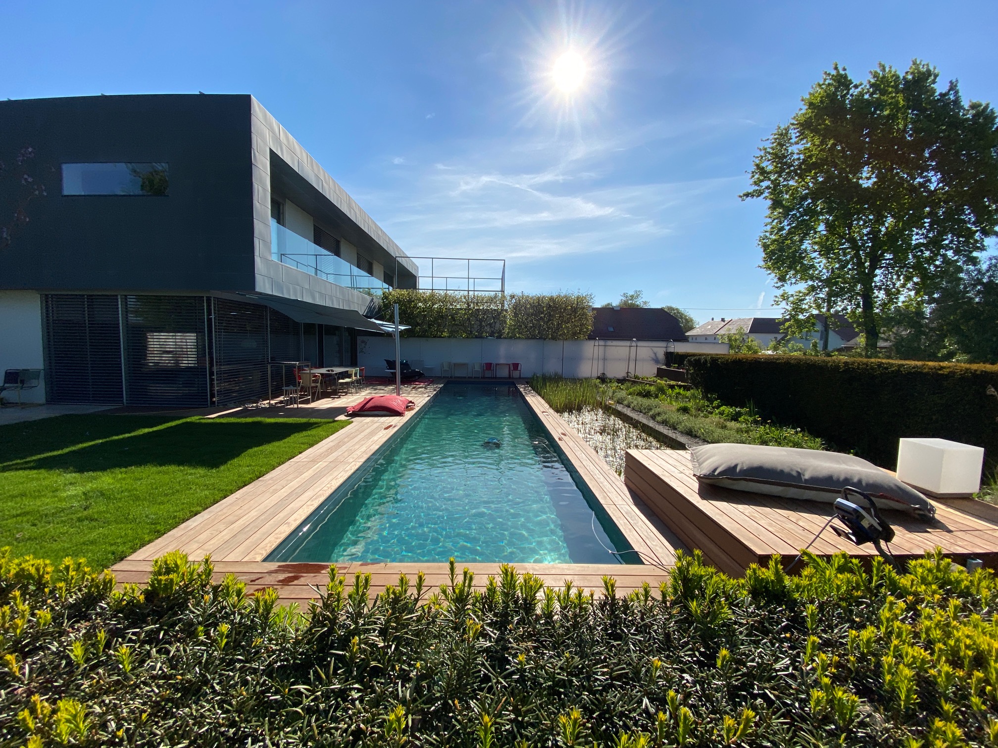 Online Vortrag: Living Pool für jeden Garten